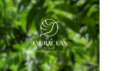 Hotel Lauraceas